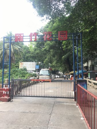 柠溪十一.小旁 2房可改三房 95万 首付25万 无税急售