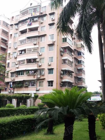 泰安花园 中低层东南向 业主出国车祸 带租约4500急售