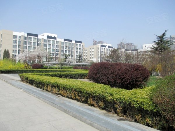 壹线国际,建国路-北京壹线国际二手房,租房-北京安居客