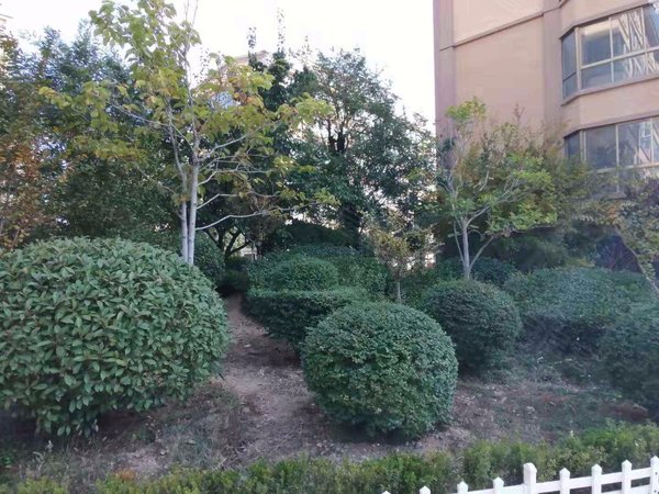 临沂小区 沂水小区 莲旺街小区 金龙湾小区实景图 1/ 14  &