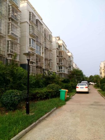 锦城家园2室2厅1卫,打包送