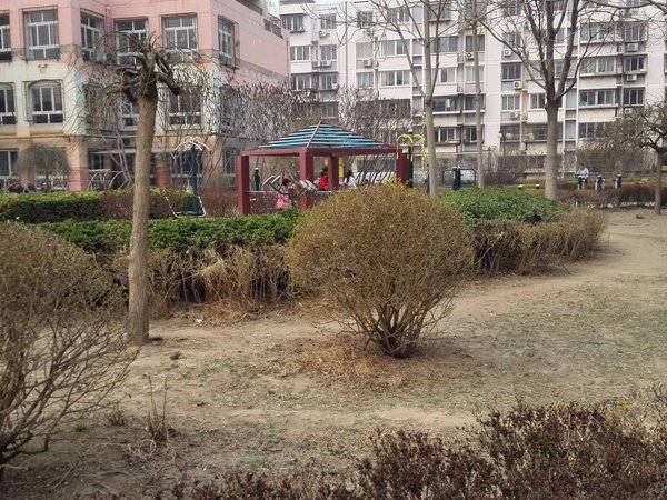 仁爱花园 西青道9号 天津仁爱花园二手房 租房 天津安居客