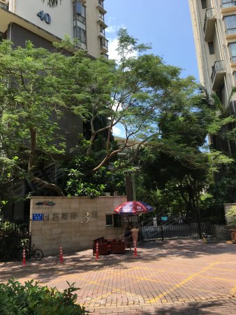 登良地铁,深圳湾人才公园,南山滨海大社区,蔚蓝