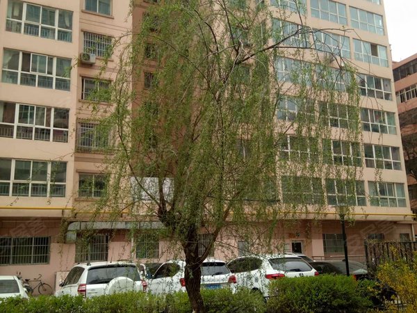 甘肃省六建龚家湾小区,武山路262号-兰州甘肃省六建龚家湾小区二手房