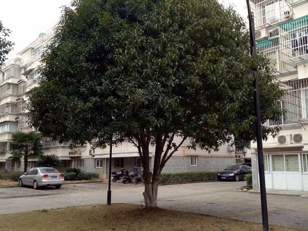 阳明花园,靖南大街789号-象山阳明花园二手房,租房-象山安居客