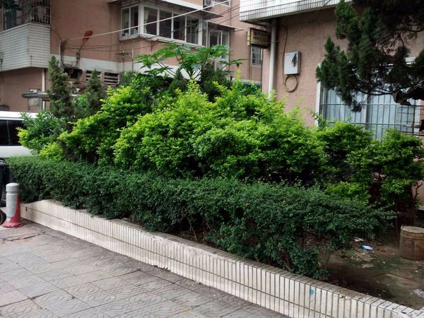 广州小区 天河小区 车陂小区 泰安花园