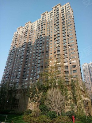 徐州小区 丰县小区 丰县城区小区 凤鸣城(b区)实景图 1/ 6  