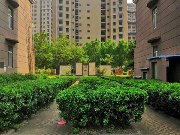 淄博小区 张店小区 莲池小学小区 巴黎春天 实景图 1/ 19  
