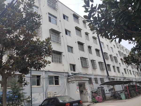 民心家园 城区-太康城区-财鑫路