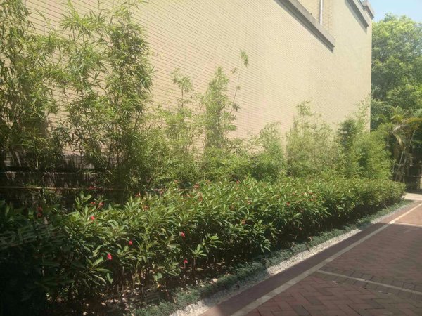 水岸花墅,桂城半岛路9号-佛山水岸花墅二手房,租房-佛山安居客