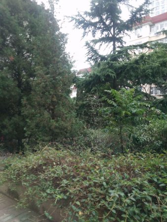 一楼带120大院,房子精装修,实际利用面积接方