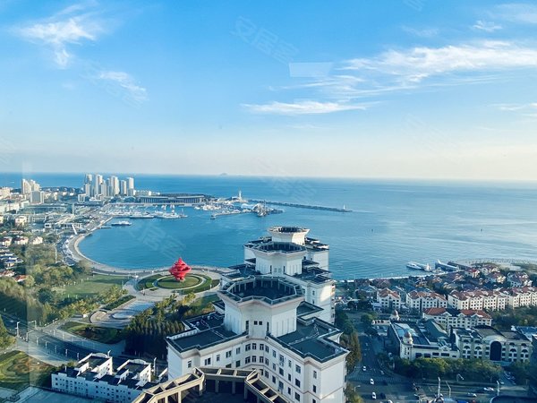 高区电梯口丨3加1布局丨双地铁线口丨配套商务齐全-青岛58安居客