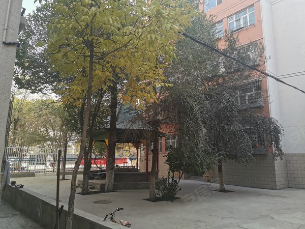 十中家属院,奇台路93号-乌鲁木齐十中家属院二手房,租房-乌鲁木齐安居