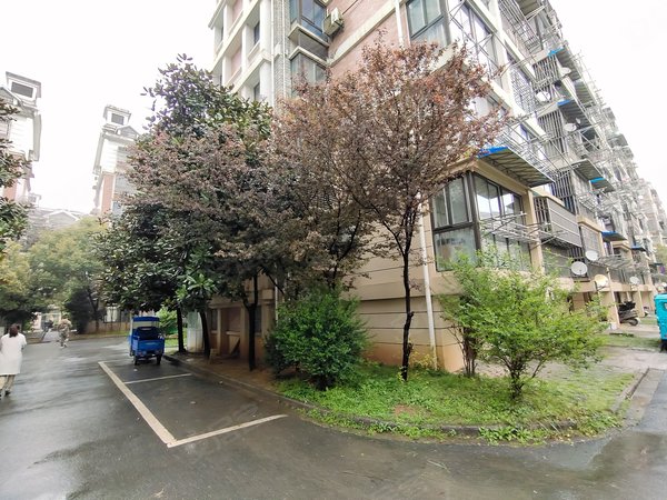 东方花园(南陵),新塘路,近学士路-芜湖东方花园(南陵)二手房,租房