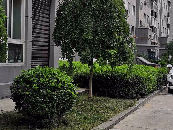 怡馨苑,工业四路696号-济南怡馨苑二手房,租房-济南安居客