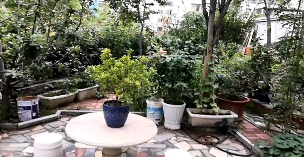 阳光小镇的最新视频 600x450.jpg?t=1