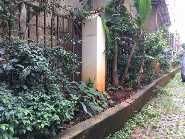 太平村,金太路-昆明太平村二手房,租房-昆明安居客