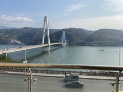 重庆市奉节县2020gdp_重庆最新GDP出炉 没想到第一名是 快看你家排第几