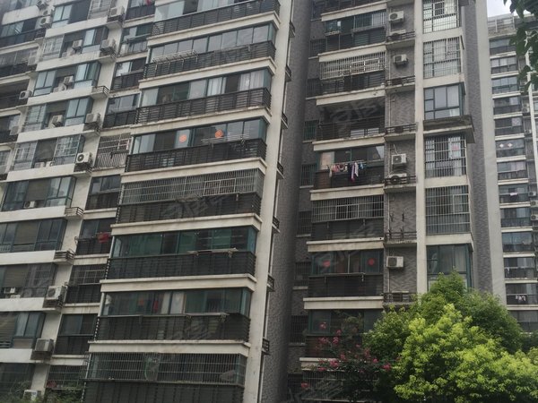 合肥小区 新站小区 火车站小区 景泰苑实景图 1/ 1