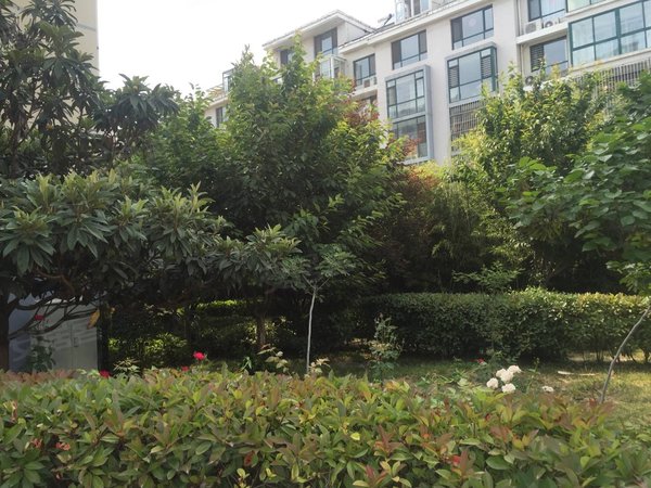 青岛小区 胶州小区 三里河小区 三里河花园 实景图 1/ 11  &