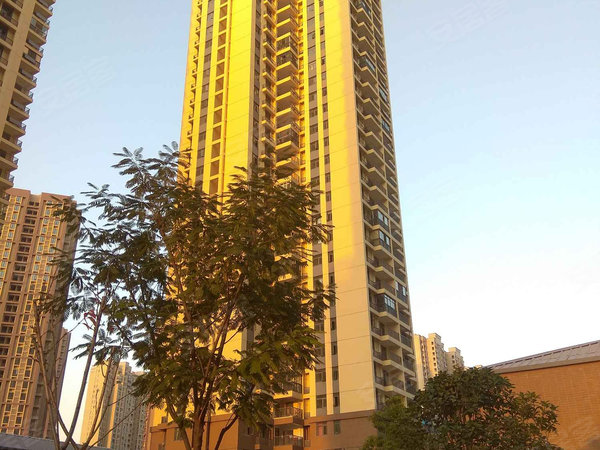 塔子湖兴隆苑 塔子湖东路 武汉塔子湖兴隆苑二手房 租房 武汉安居客 塔子湖兴隆苑 塔子湖东路 武汉塔子湖兴隆苑二手房 租房 武汉安居客