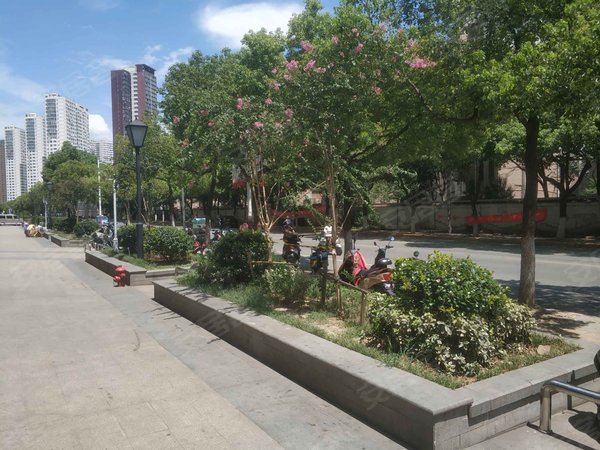 苏州小区 常熟小区 招商城小区 桑园新村实景图 1/ 6  