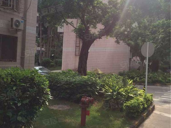 世界花园樱花居 侨城西街9号 深圳世界花园樱花居二手房 租房 深圳安居客