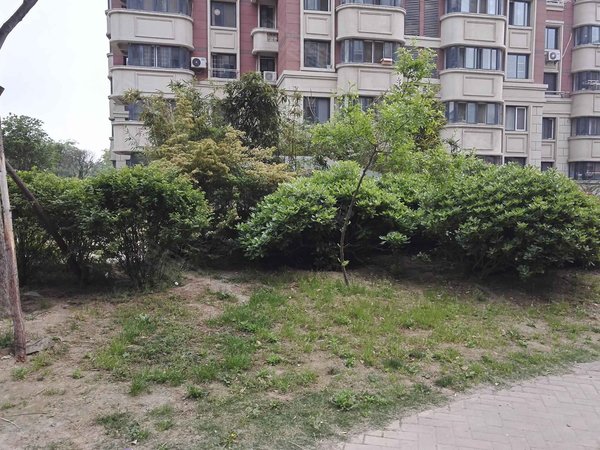 西湖名郡,众兴中路 - 泗阳西湖名郡二手房,租房,房价-泗阳安居客