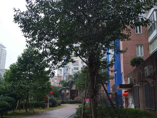 逸景湾,滨江大道-瑞安逸景湾二手房,租房-瑞安安居客