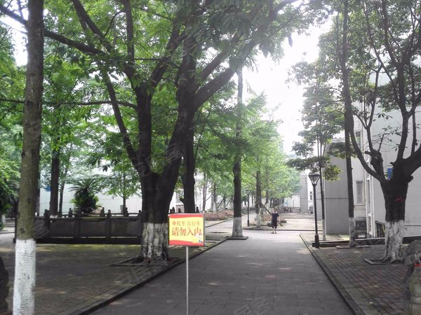 成都小区 都江堰小区 都江堰城区小区 宝石花石油花园 实景图 1/ 9 