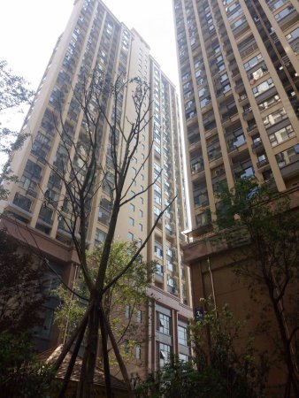 泊里中心 东客站 地铁口 水电气三通 loft公寓 实得2层