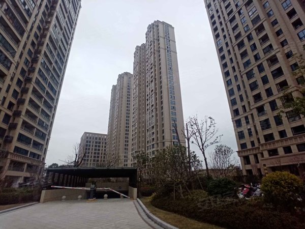 金马国际,322国道-瑞安金马国际二手房,租房-瑞安安居客