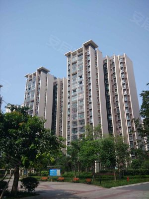 新怡花园b区,观东二街355号-成都新怡花园b区二手房,租房-成都安居客