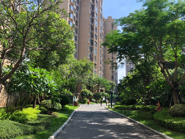 厦门小区 集美小区 灌口小区 龙湖嘉誉(二期公寓住宅)实景图 1/ 23 &