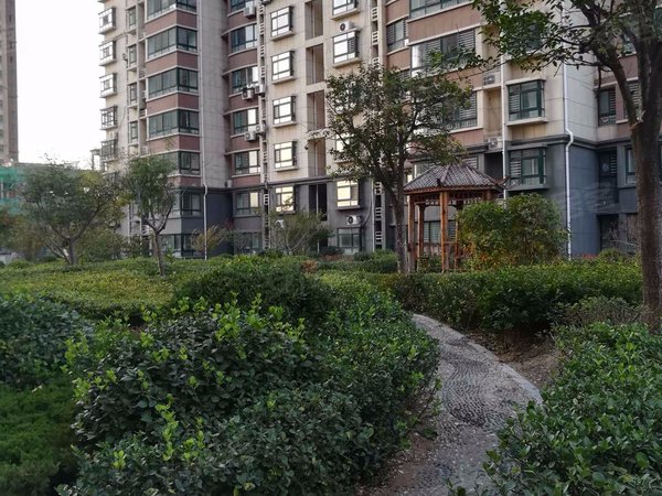 河畔花城,密州西路-诸城河畔花城二手房,租房-诸城安居客