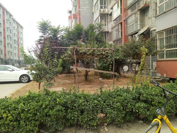 祥安公寓,嘉华路 - 石家庄祥安公寓二手房,租房,房价-石家庄安居客