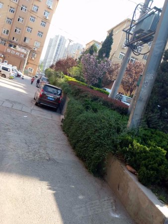 【李沧】李村万达旁紧挨李沧国税双南向套二厅