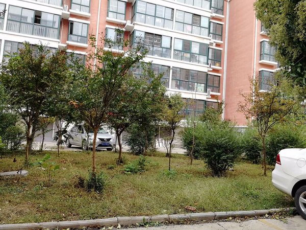 临沂小区 罗庄小区 金七路小区 锦绣华庭一期(清河南路)实景图 1/ 13