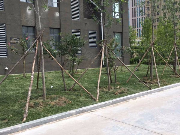 潍坊小区 高密小区 朝阳街道小区 东方美郡 实景图 1/ 15  &
