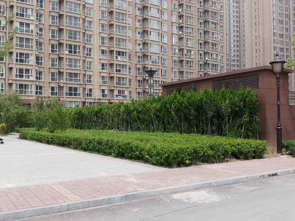 御景嘉园 新华路街道-任丘城区-东风西路