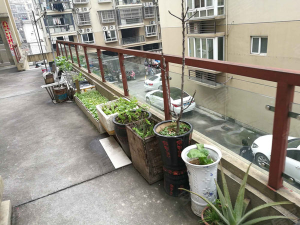 温州小区 苍南小区 灵溪小区 金都家园 实景图 1 11#xe