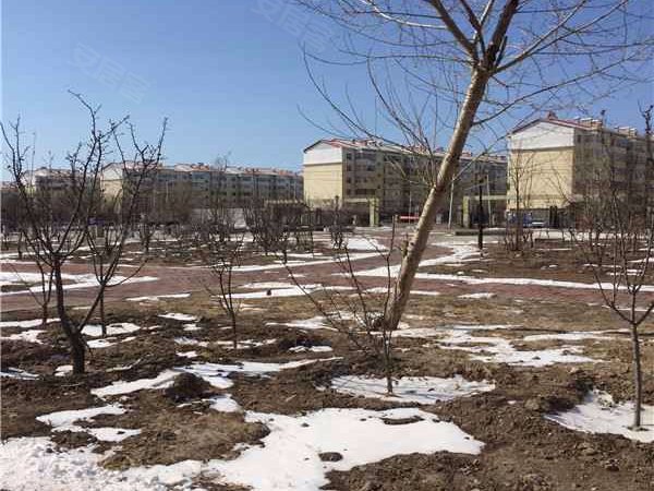 红岗新城,红岗南路 - 大庆红岗新城二手房,租房,房价-大庆安居客