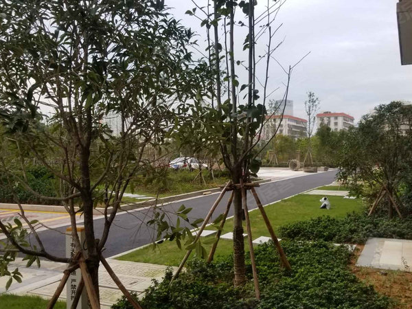 香滨左岸一组团 月乐西街 温州香滨左岸一组团二手房 租房 温州安居客 香滨左岸一组团 月乐西街 温州香滨左岸一组团二手房 租房 温州安居客