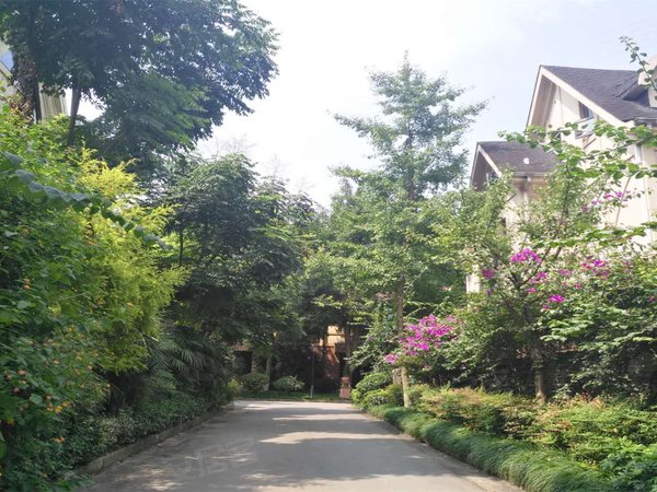 原乡,滨河路二段189号-成都原乡二手房,租房-成都安居客