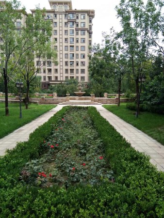 鲁能七号院 精装两居室 楼层好 诚意出售 看房方便