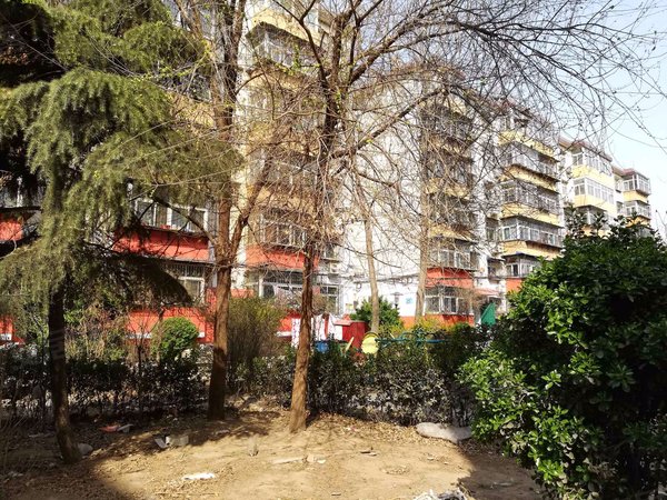 邯郸小区 丛台小区 丛台小区 东风苑 实景图 1/ 18  