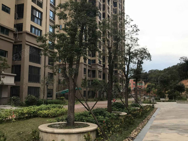 翰林华城 芙蓉东路536号 泉州翰林华城二手房 租房 泉州安居客