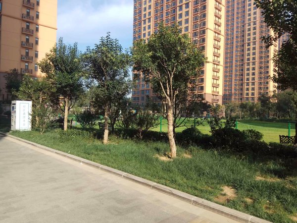 石家庄小区 辛集小区 辛集城区小区 时代华府