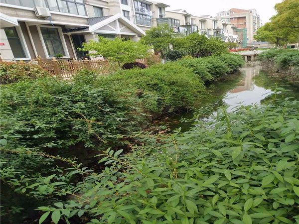 无锡小区 江阴小区 周庄镇小区 金都华庭 实景图 1/ 30  