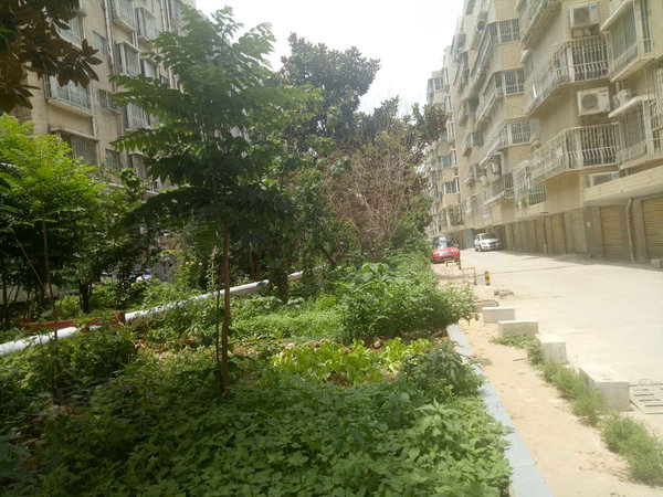 文秀花园,建设中路1089号-南阳文秀花园二手房,租房-南阳安居客